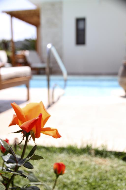 Eve Veriko Villa Pissouri